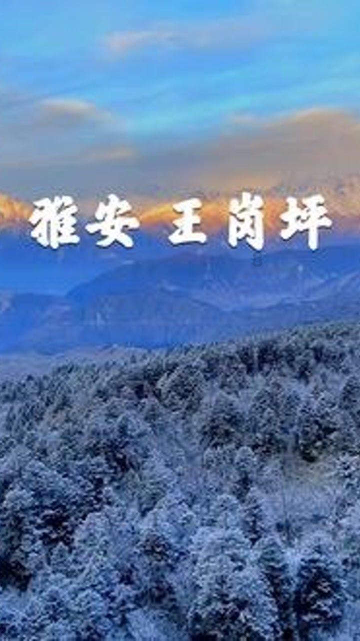 饥饿的哈利
