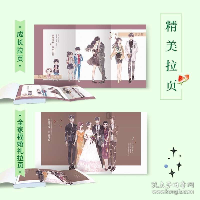 孤独的流浪者救援
