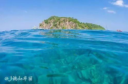 超数码宝贝3.0